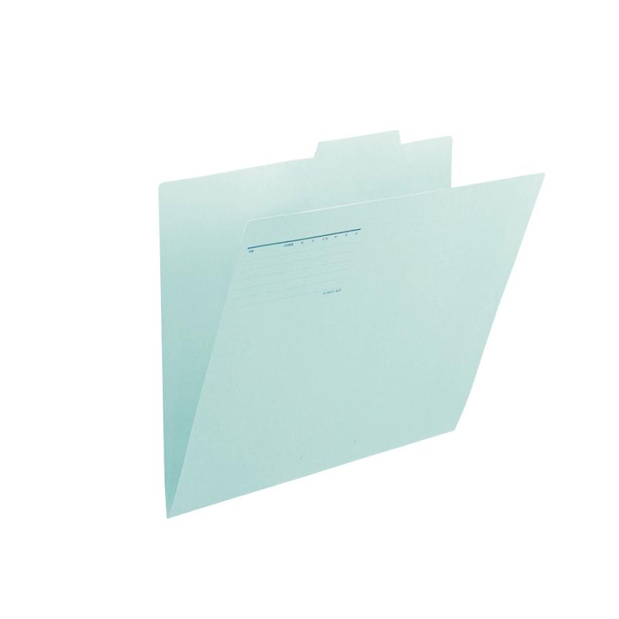 プラス(PLUS)個別フォルダー A3-E ブルー FL-069IF 10セット　87-425 | PLUS