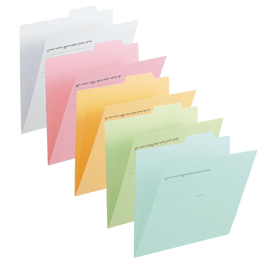 プラス(PLUS) 個別フォルダー A4-E 5色アソートパック 10冊入り FL-061IF-AP　87-120 | PLUS