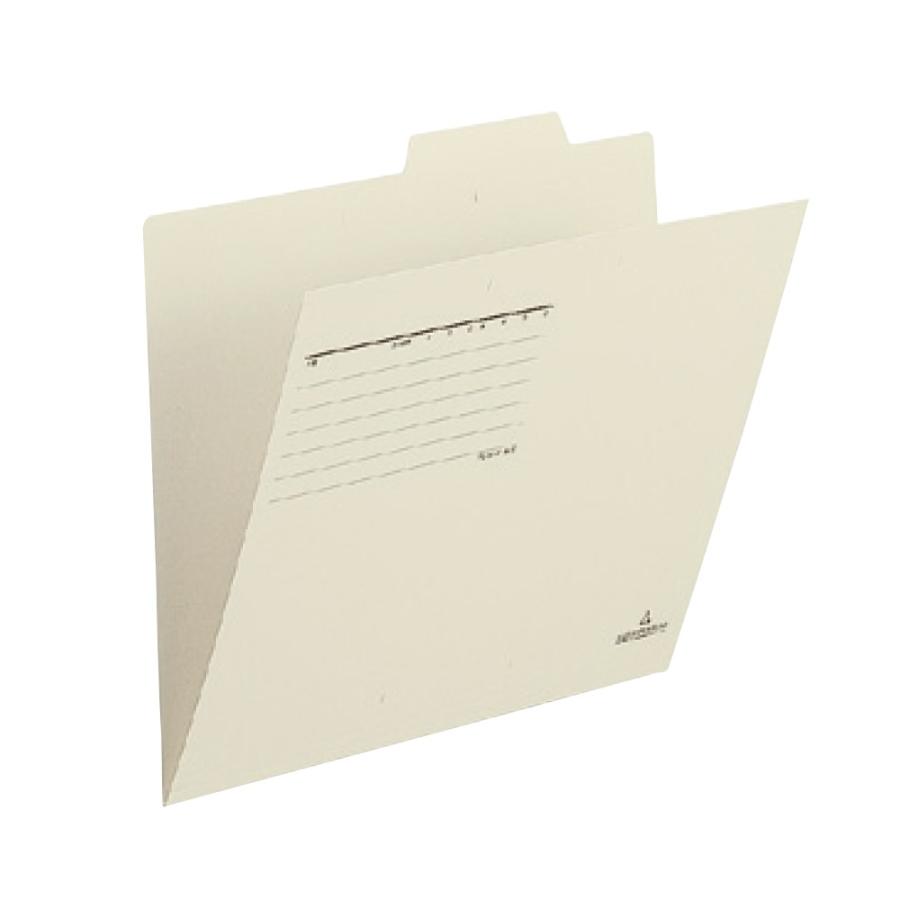 プラス(PLUS)個別フォルダー 古紙パルプ配合率95%再生紙 A4-E ライトグレー FL-001IF 10セット　87-833 | PLUS