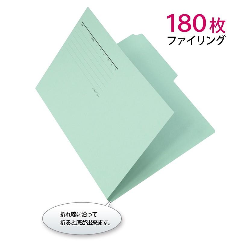 プラス(PLUS) カットフォルダー マチなし 2山 A4-E ブルー FL-062IF 　87-335 | PLUS | 03