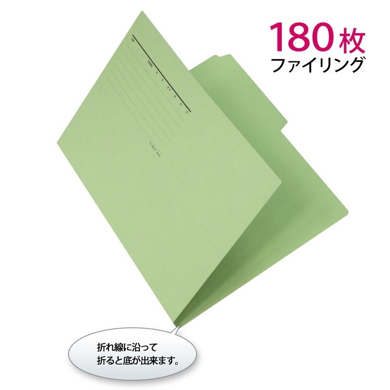 プラス(PLUS) カットフォルダー マチなし 2山 A4-E グリーン FL-062IF 　87-336 | PLUS | 03
