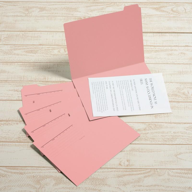 プラス(PLUS) カットフォルダー マチなし 5山 A4-E ピンク FL-065IF 　87-388 | PLUS | 07