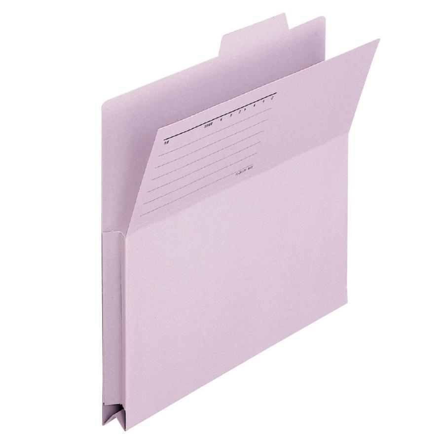プラス(PLUS) 持ち出しフォルダー 古紙パルプ95％再生紙 A4-E バイオレット FL-061PF 10セット　87-122 | PLUS