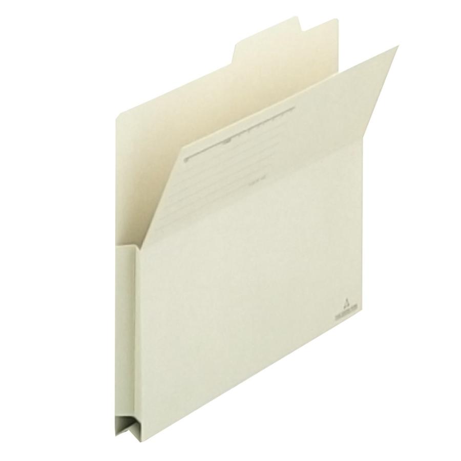 プラス(PLUS) 持ち出しフォルダー 古紙パルプ95％再生紙 A4-E ライトグレー FL-001PF 10セット　87-839 | PLUS