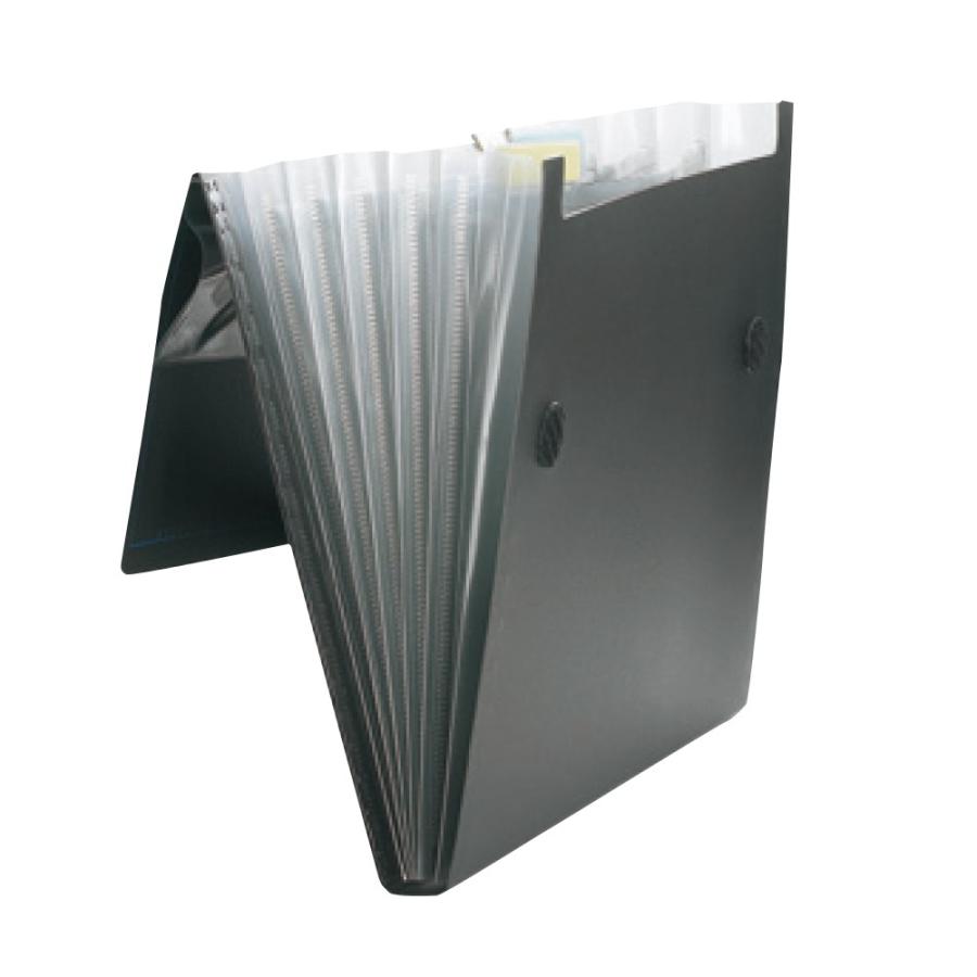 プラス(PLUS)ドキュメントファイル 再生PPファイル A4-S 6ポケット ブルー FL-121DE　92-136 | PLUS | 02