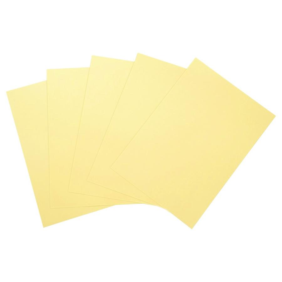 プラス(PLUS) カラーペーパー ダイオーマルチカラー A4 500枚 クリーム CW-620C 86-411 | PLUS | 01