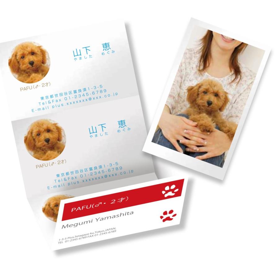 プラス(PLUS)インクジェット専用 きれいな光沢カード「キリッと両面」名刺・表示用 A4 光沢紙 IC-KG701　46-673 | PLUS | 04