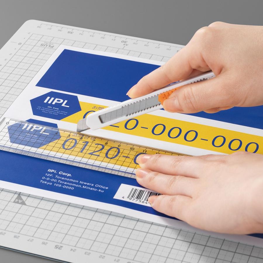 プラス(PLUS) ラベル いつものラベル オリジナルラベル A4 500枚入 ノーカット ME-500S48-865 | PLUS | 02