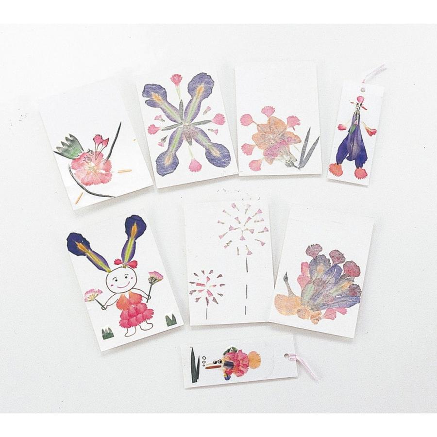 Artec(アーテック) 押し花セット #2218 | 