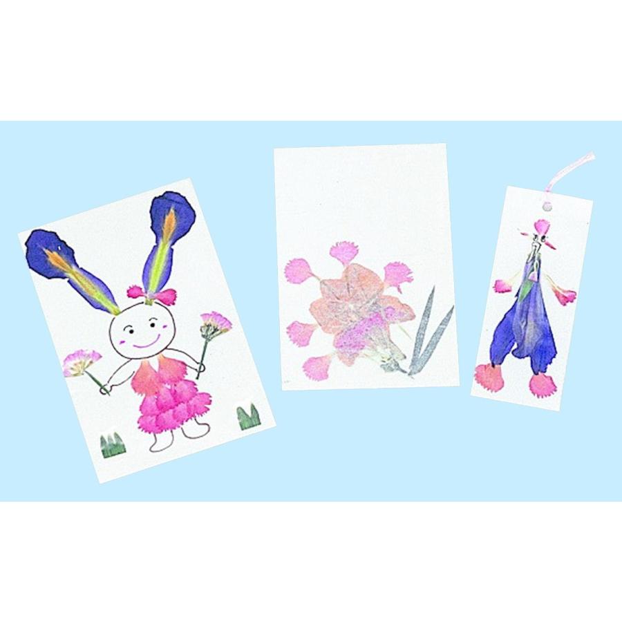 Artec(アーテック) 押し花セット #2218 |  | 02