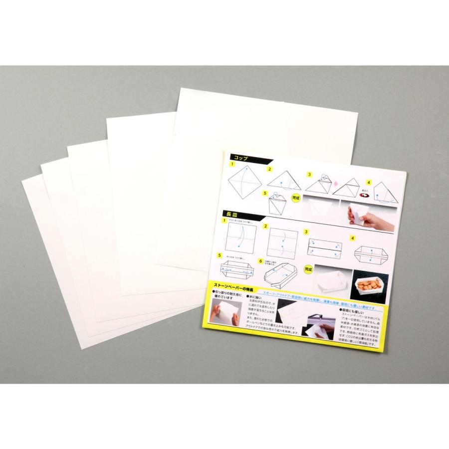 Artec(アーテック) 非常用食器折り紙 #3993 |  | 03