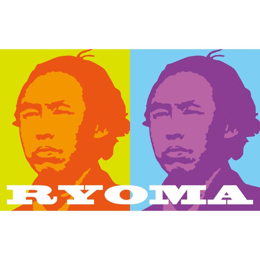 Artec(アーテック) 学習セット ポップアート RYOMA #12979 |  | 03