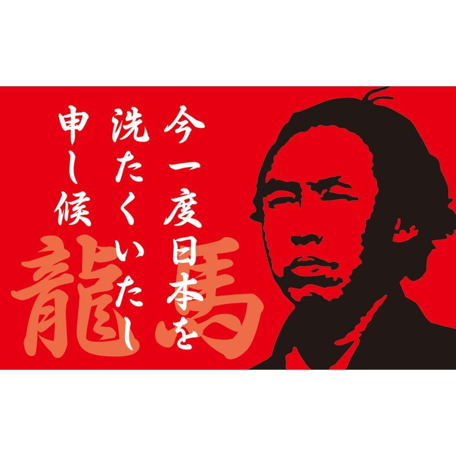 Artec(アーテック) 学習セット ポップアート RYOMA #12979 |  | 04