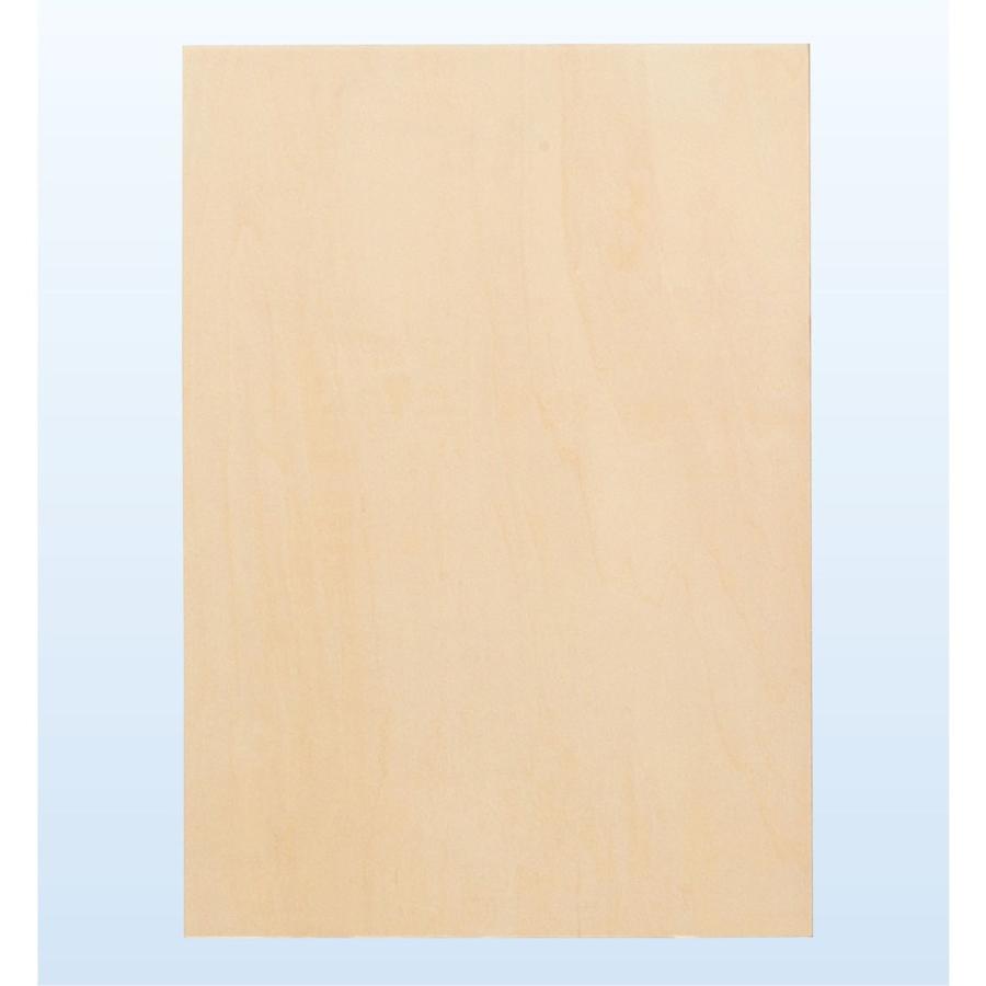 Artec(アーテック) パネルアート A4 #13075 |  | 02