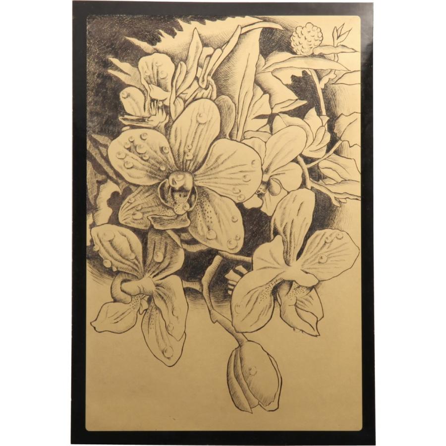 Artec(アーテック) 黒色ベーススクラッチボード　ゴールド #13123 | 