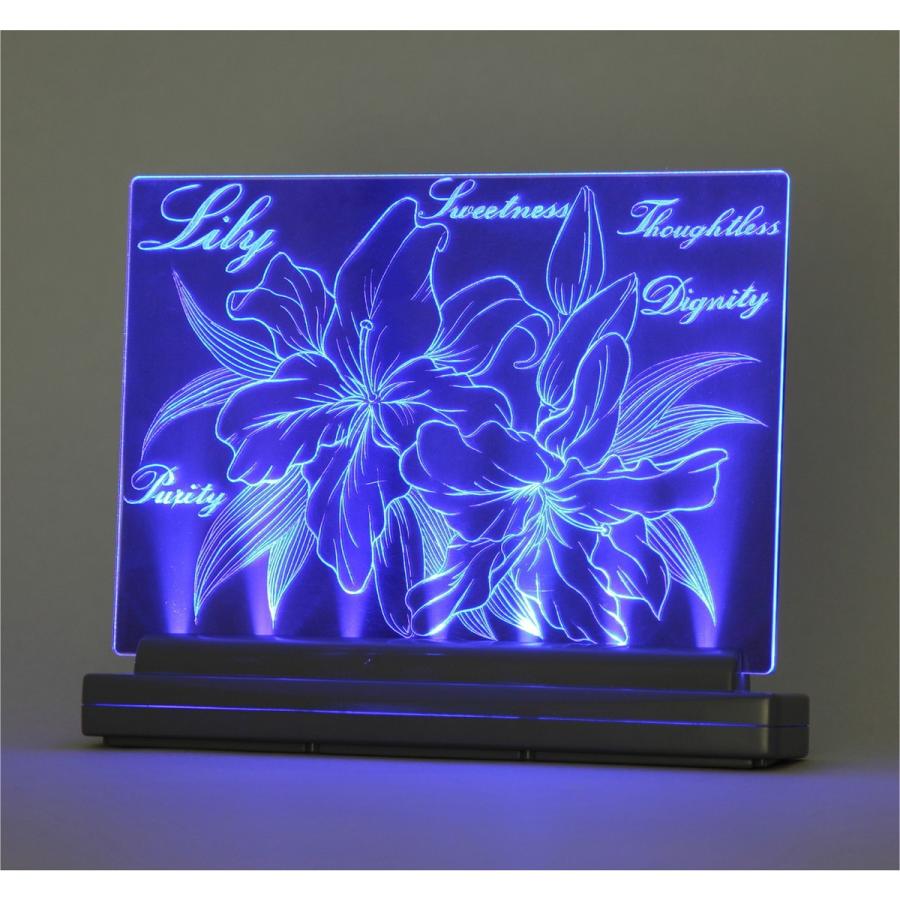 Artec(アーテック) ライトスクラッチ A5 #13347 | 