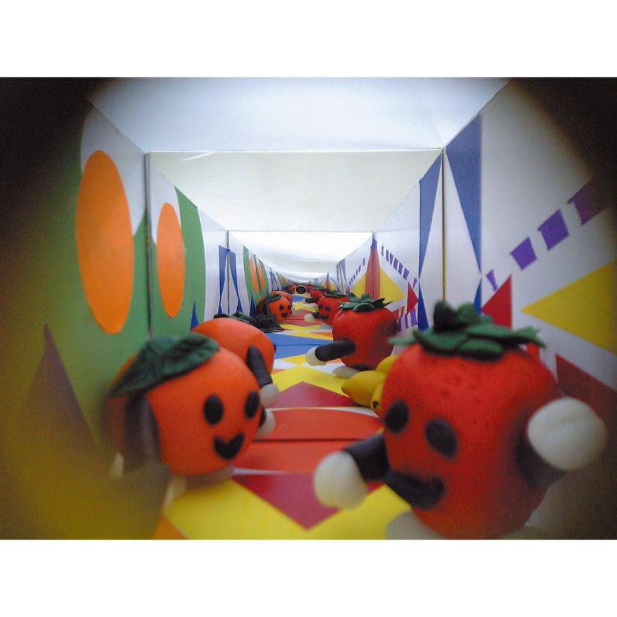 Artec(アーテック) ミラーボックス ロング #13461 |  | 01