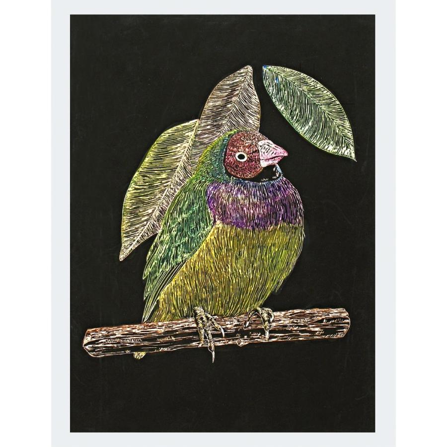 Artec(アーテック) スクラッチボードEX スクレーパー #13467 | 