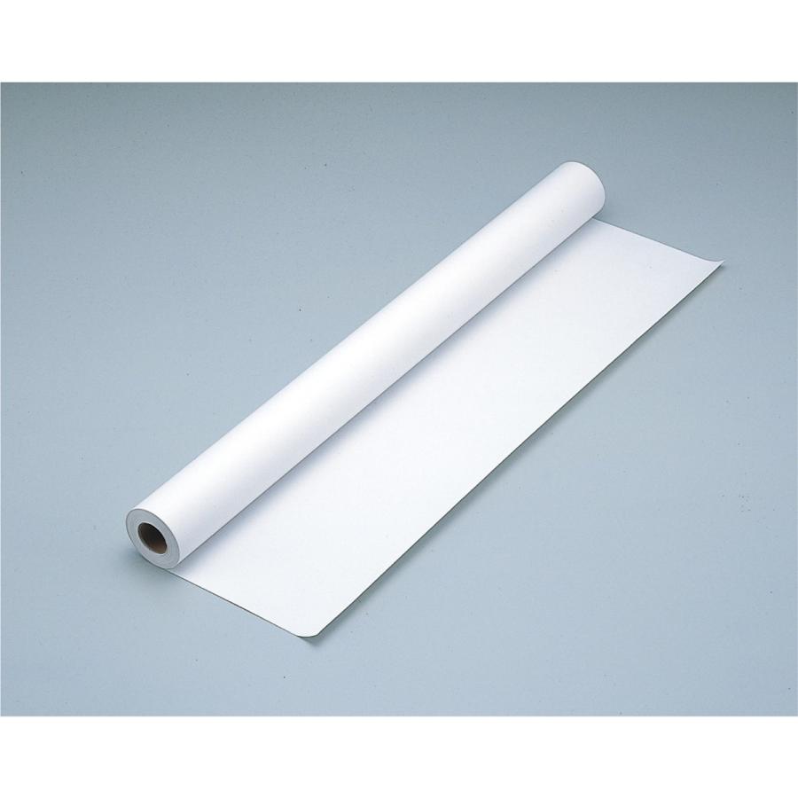 Artec(アーテック) 30m巻ロール紙 白(788×30m) #13955 | 