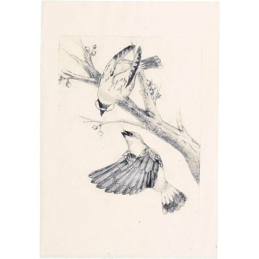 Artec(アーテック) マットPP板 小(240x180x0.5mm) #20500 |  | 01