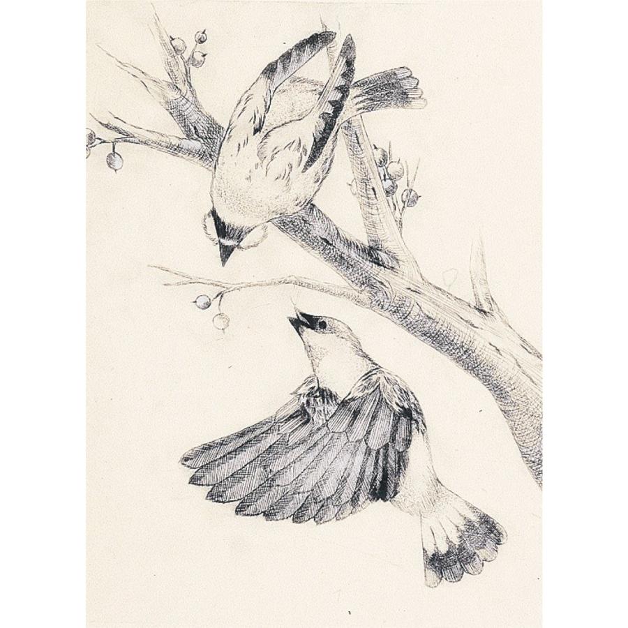 Artec(アーテック) PP板 大(480x360x0.5mm) #20512 |  | 01