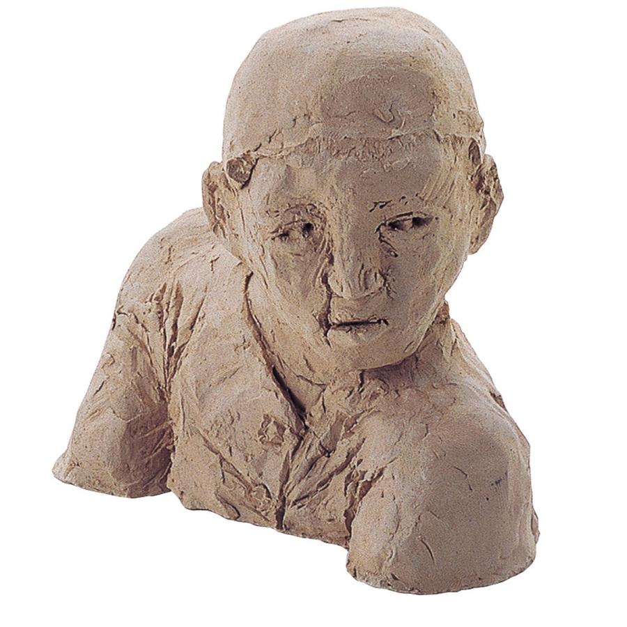 Artec(アーテック) 彫塑ねんど 1kg #23000 |  | 03