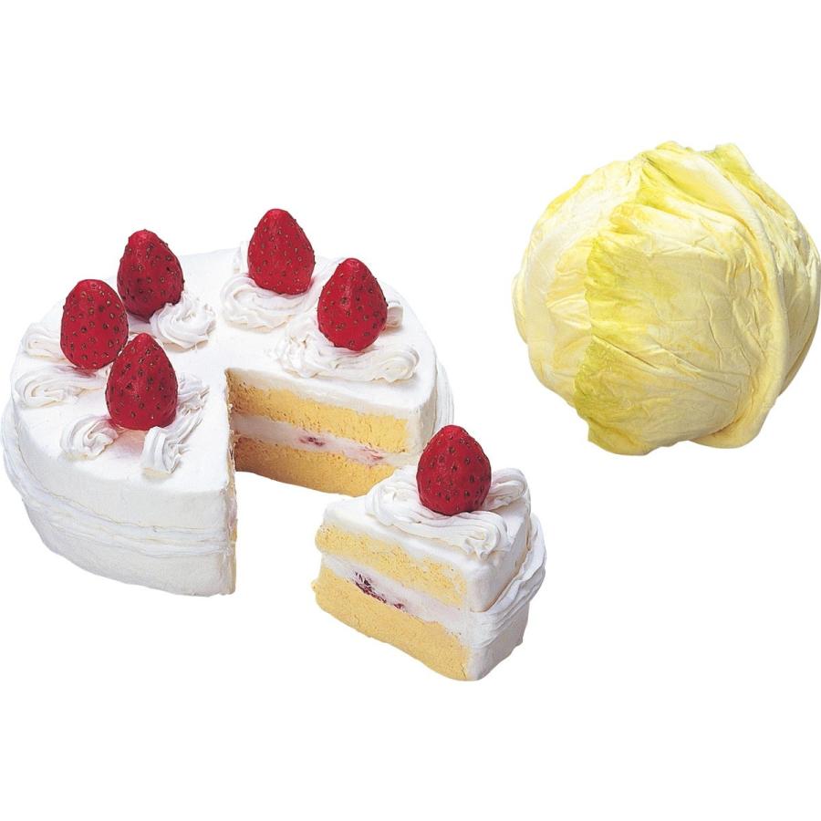 Artec(アーテック) まいるどスーパーライト 大 ヘラ付 #23208 |  | 02