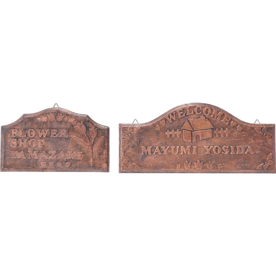 Artec(アーテック) プラーク #30554 |  | 01