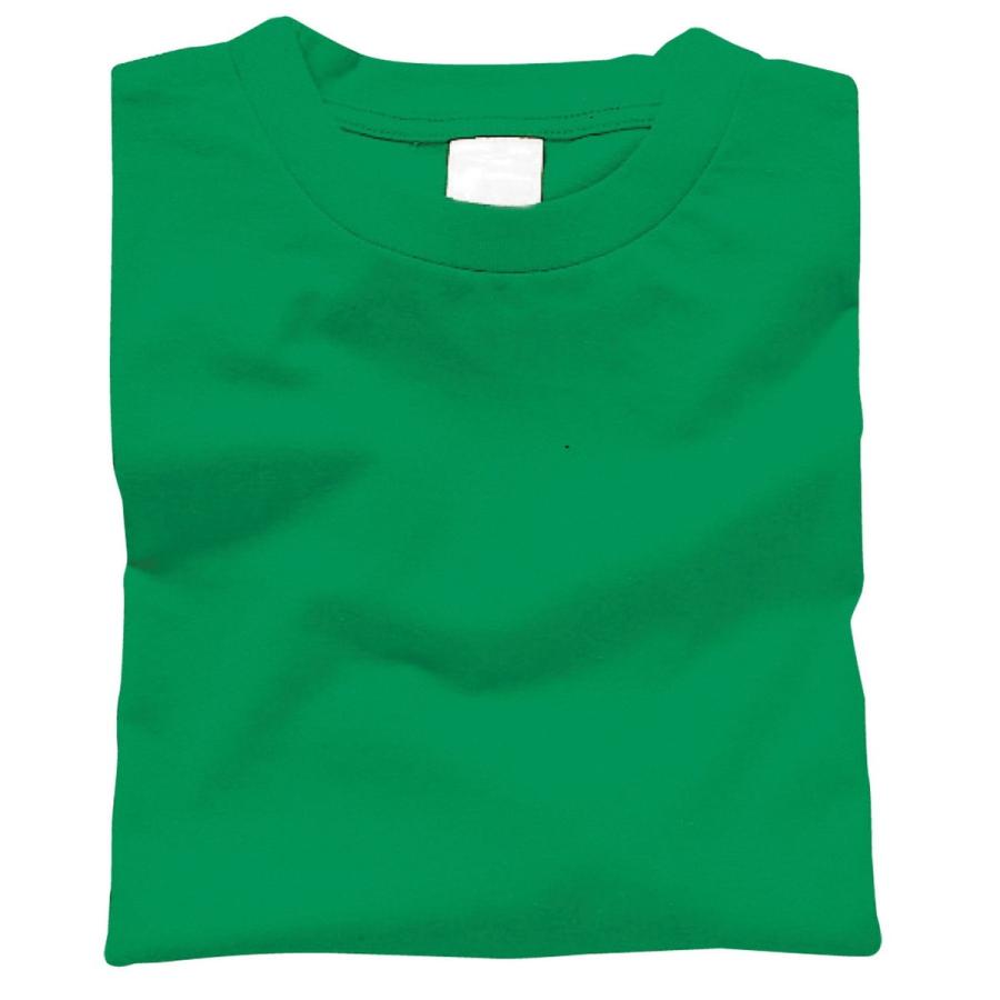 Artec(アーテック) カラーTシャツ M 025 グリーン #38713 | 