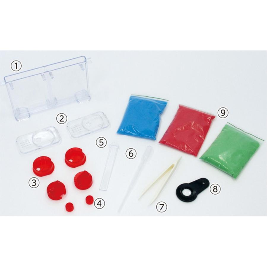 Artec(アーテック) アリさんまるごと観察セット #55704 |  | 02