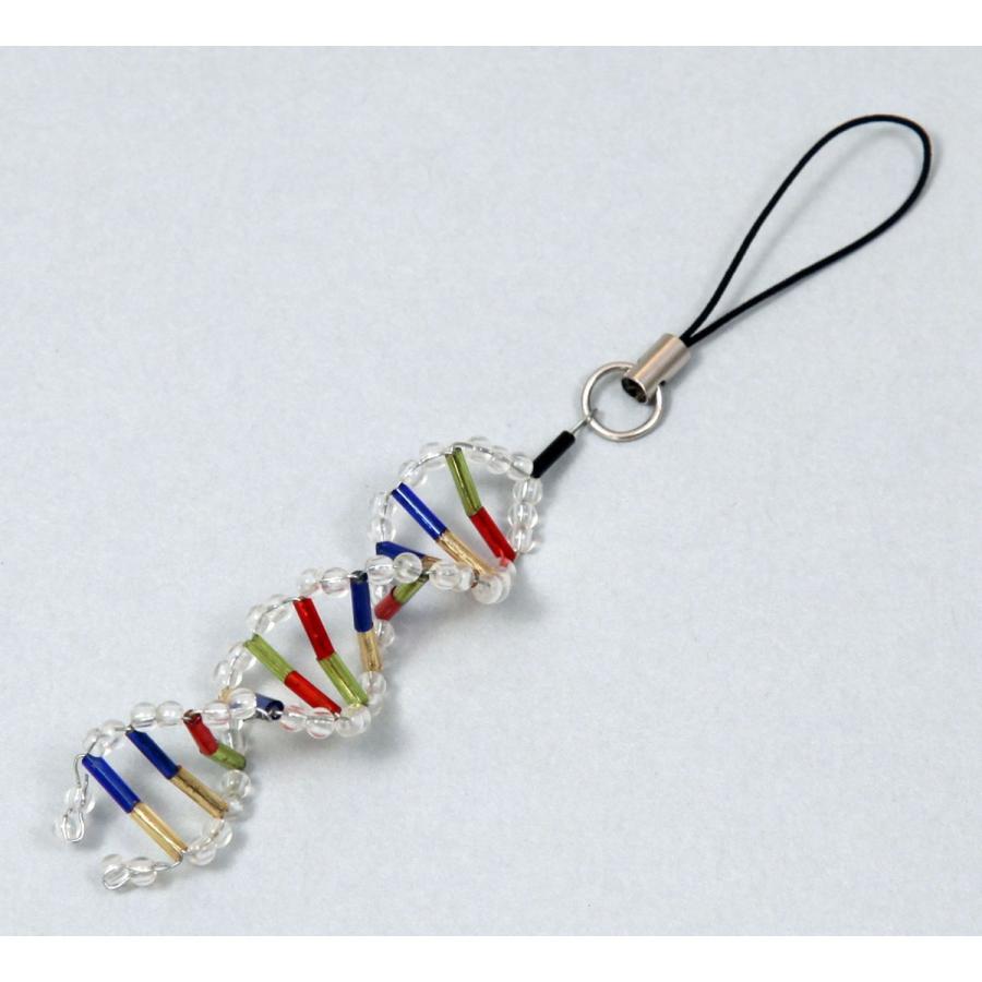 Artec(アーテック) DNAストラップ作り #93429 | 