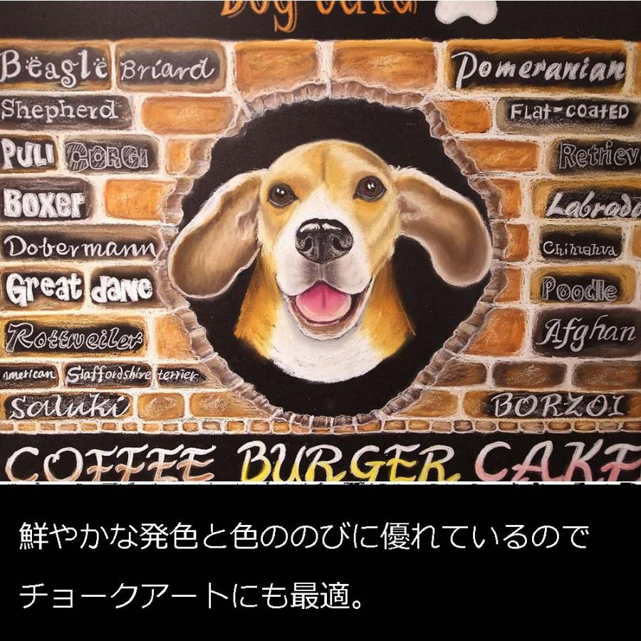 ＜ぺんてる＞ 専門家用パス 25色セット PTA-25D | ぺんてる | 04