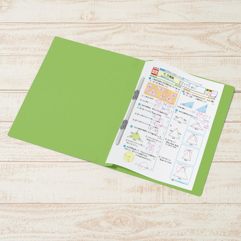 プラス(PLUS) 年組氏名フラットファイル A4S　リーフグリーン NO.021GA 79-274*10　10冊パック | PLUS | 04