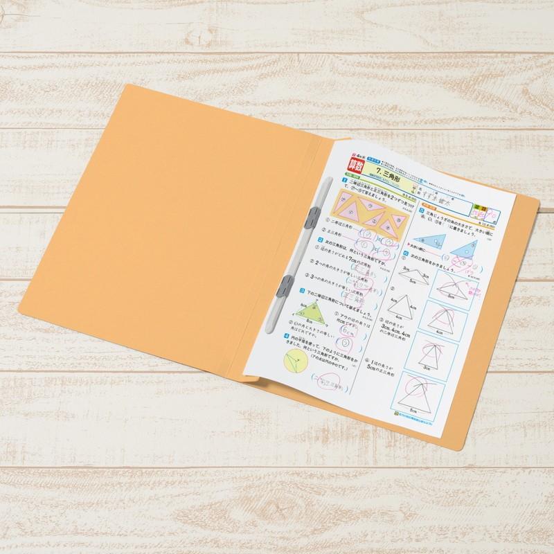 プラス(PLUS) 年組氏名フラットファイル A4S　イエロー NO.021GA 79-277*10　10冊パック | PLUS | 04