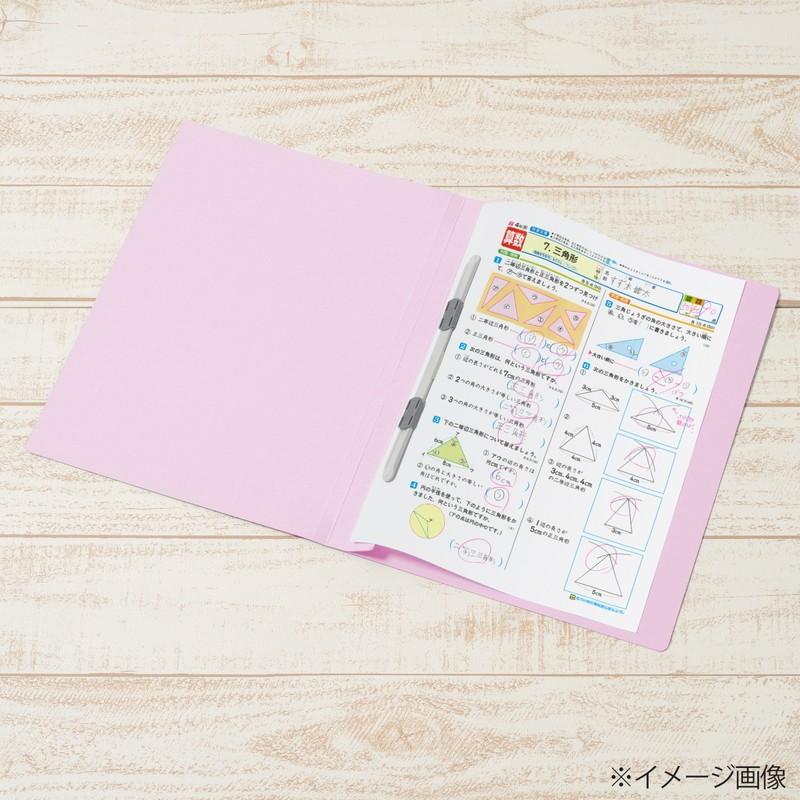 プラス(PLUS) 年組氏名フラットファイル A5S　バイオレット NO.041GA 79-532*10　10冊パック | PLUS | 04