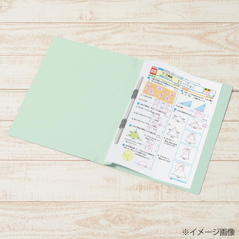 プラス(PLUS) 年組氏名フラットファイル B5S　ブルー NO.031GA 79-525*10　10冊パック | PLUS | 04