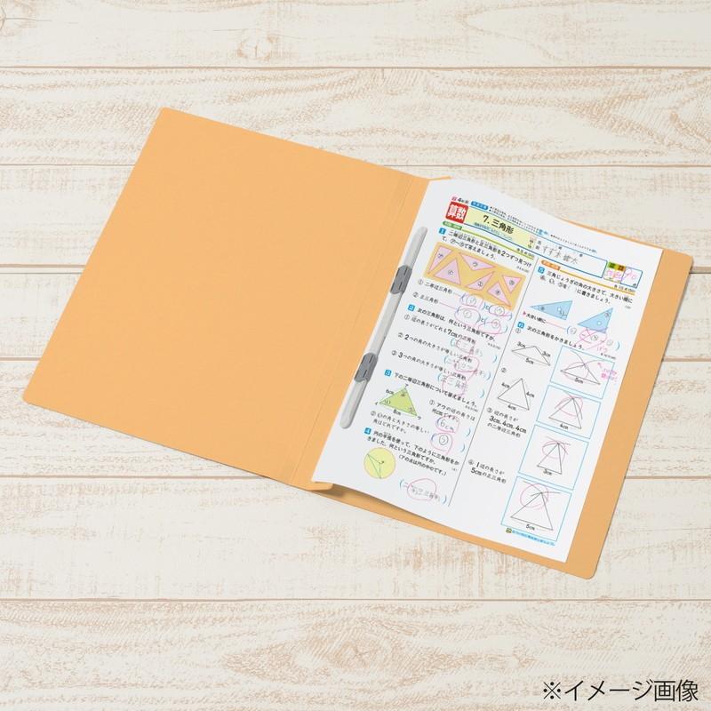 プラス(PLUS) 年組氏名フラットファイル B5S　イエロー NO.031GA 79-527*10　10冊パック | PLUS | 04