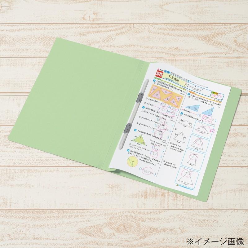 プラス(PLUS) 年組氏名ＰＰフラットファイル  A4S グリーン NO.121PGA 79-496 | PLUS | 05