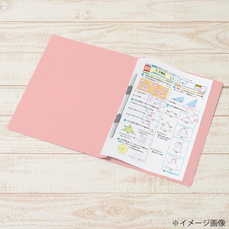 プラス(PLUS) 年組氏名ＰＰフラットファイル  A4S ピンク NO.121PGA 79-498 | PLUS | 05