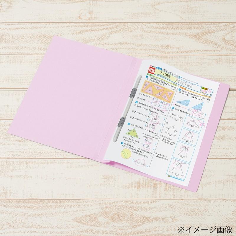 プラス(PLUS) 年組氏名ＰＰフラットファイル  A4S バイオレット NO.121PGA 79-492 | PLUS | 05