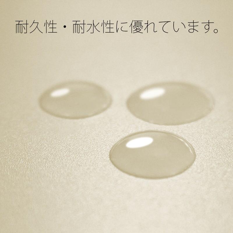 【欠品中:納期未定 入荷次第発送】プラス(PLUS) フラットファイル PPフラットファイル B5-S アイボリー NO.131P　98-363 | PLUS | 07