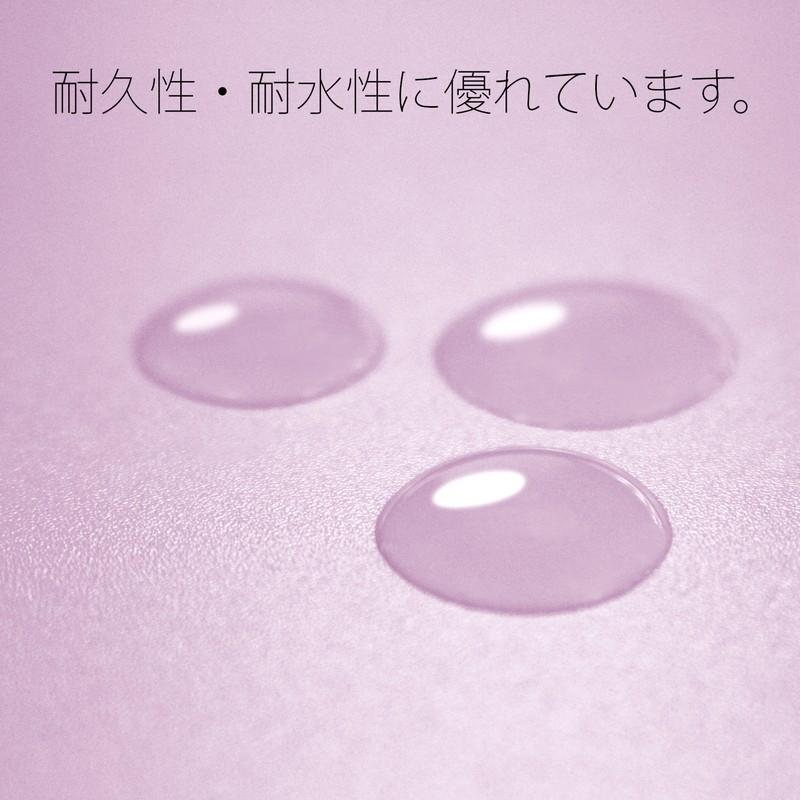 プラス(PLUS) フラットファイル PPフラットファイル A4-S 厚とじ バイオレット NO.121PW 98-342 | PLUS | 08