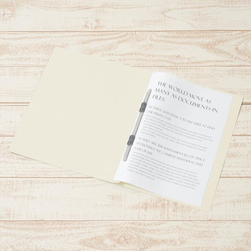 プラス(PLUS) フラットファイル PPフラットファイル A4-S 厚とじ アイボリー NO.121PW 98-343 | PLUS | 03