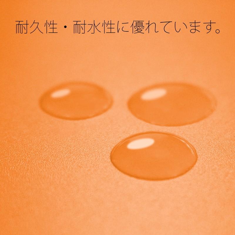 プラス(PLUS) フラットファイル PPフラットファイル A4-E オレンジ NO.122P　98-350 | PLUS | 07