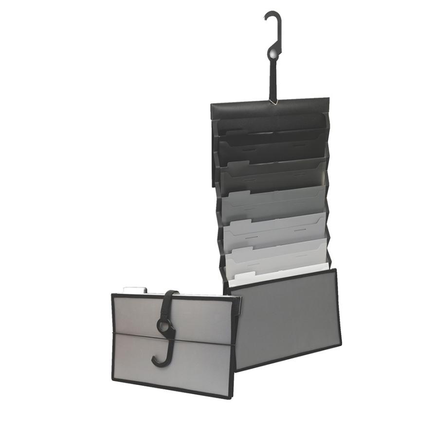 Esselte　エセルテ　Ａ４ソーテッド６段　モノ　22350 アコブランズ・ジャパン | 