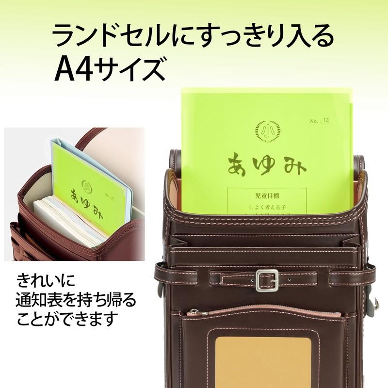 プラス(PLUS) クリアホルダー 通知表ホルダー A3 2つ折り FL-190SF グリーン 1枚 79-725 | PLUS | 03