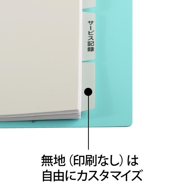 プラス(PLUS)  たすけあ 利用者カルテ 用インデックス  グレー (1セット5山×2) 98-078 FL-807IS | PLUS | 04