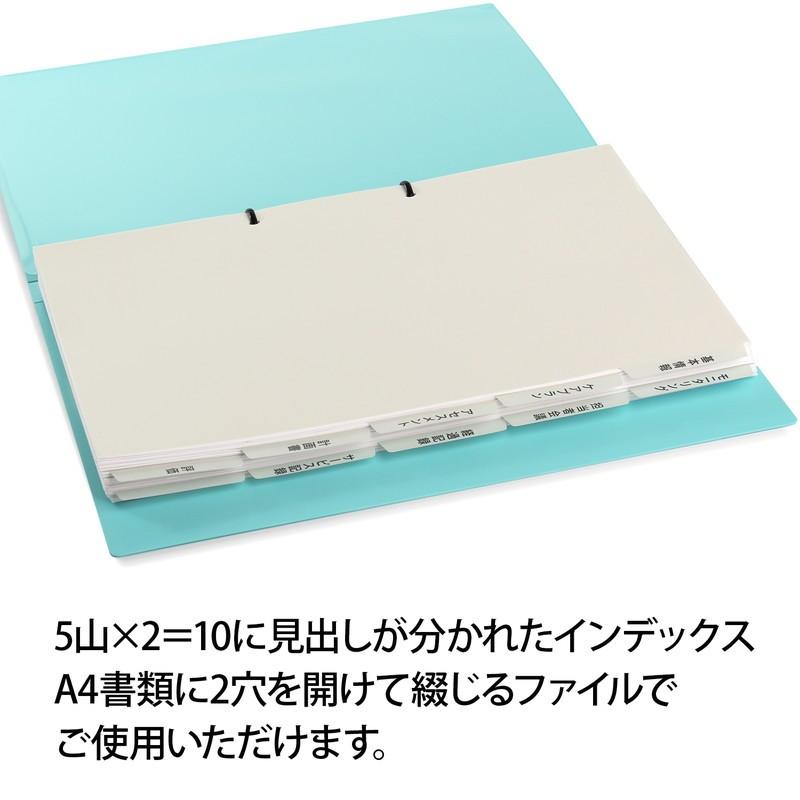 プラス(PLUS)  たすけあ 利用者カルテ 用インデックス  グレー (1セット5山×2)*10セット 98-078*10 FL-807IS | PLUS | 01
