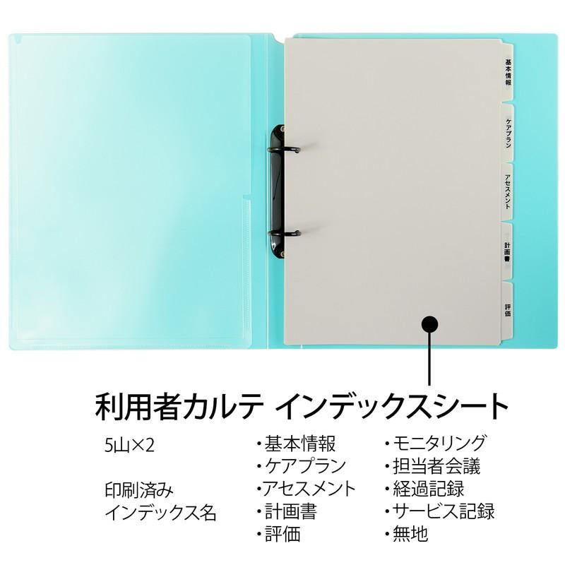 プラス(PLUS)  たすけあ 利用者カルテ 2穴リングファイル A4背厚33mm たすけあ 利用者カルテ用 ブルー 98-088 FL-808RF | PLUS | 03