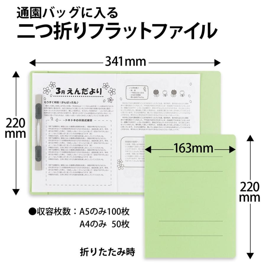 プラス(PLUS) フラットファイル A5縦（A4書類二つ折り収容）グリーン 10冊 NO.045F 79-696 ×10 | PLUS | 01
